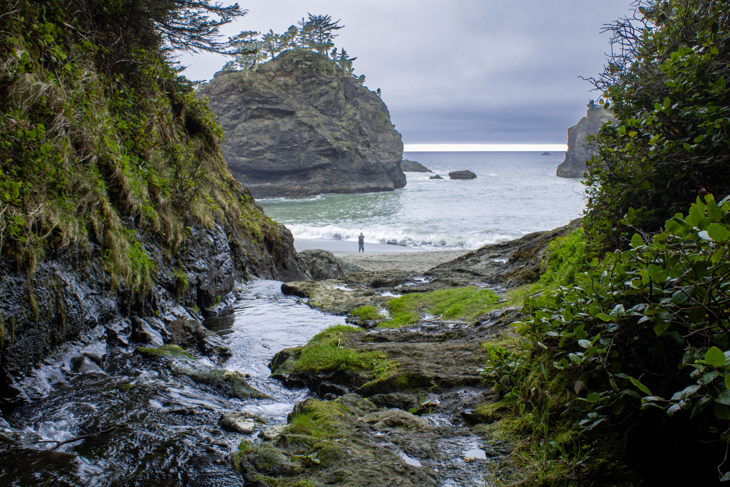 mountains and shore