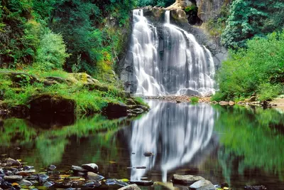 Youngs River Falls