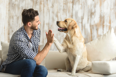 guy and dog on couch
