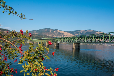 bridge over Hood River