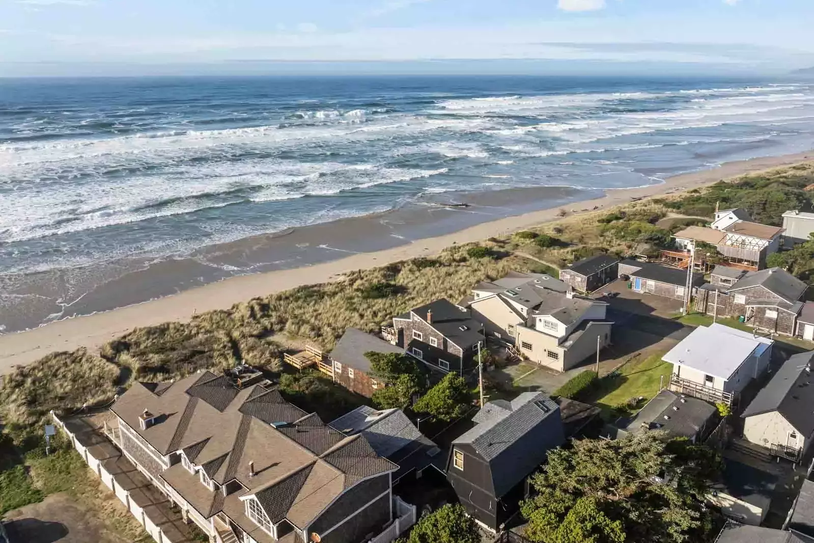 The Oregon Coast is a great place to see wild animals. Keep your eyes peeled for eagles, elk, hermit crabs, seals, whales, and maybe even an octopus!