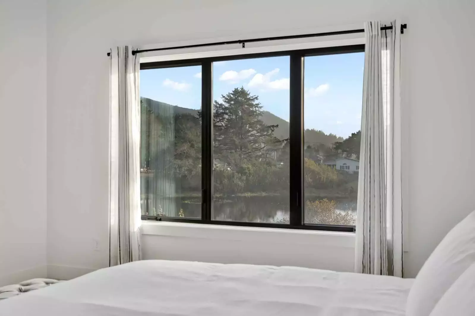 The Oregon Coast is a great place to see wild animals. Keep your eyes peeled for eagles, elk, hermit crabs, seals, whales, and maybe even an octopus!