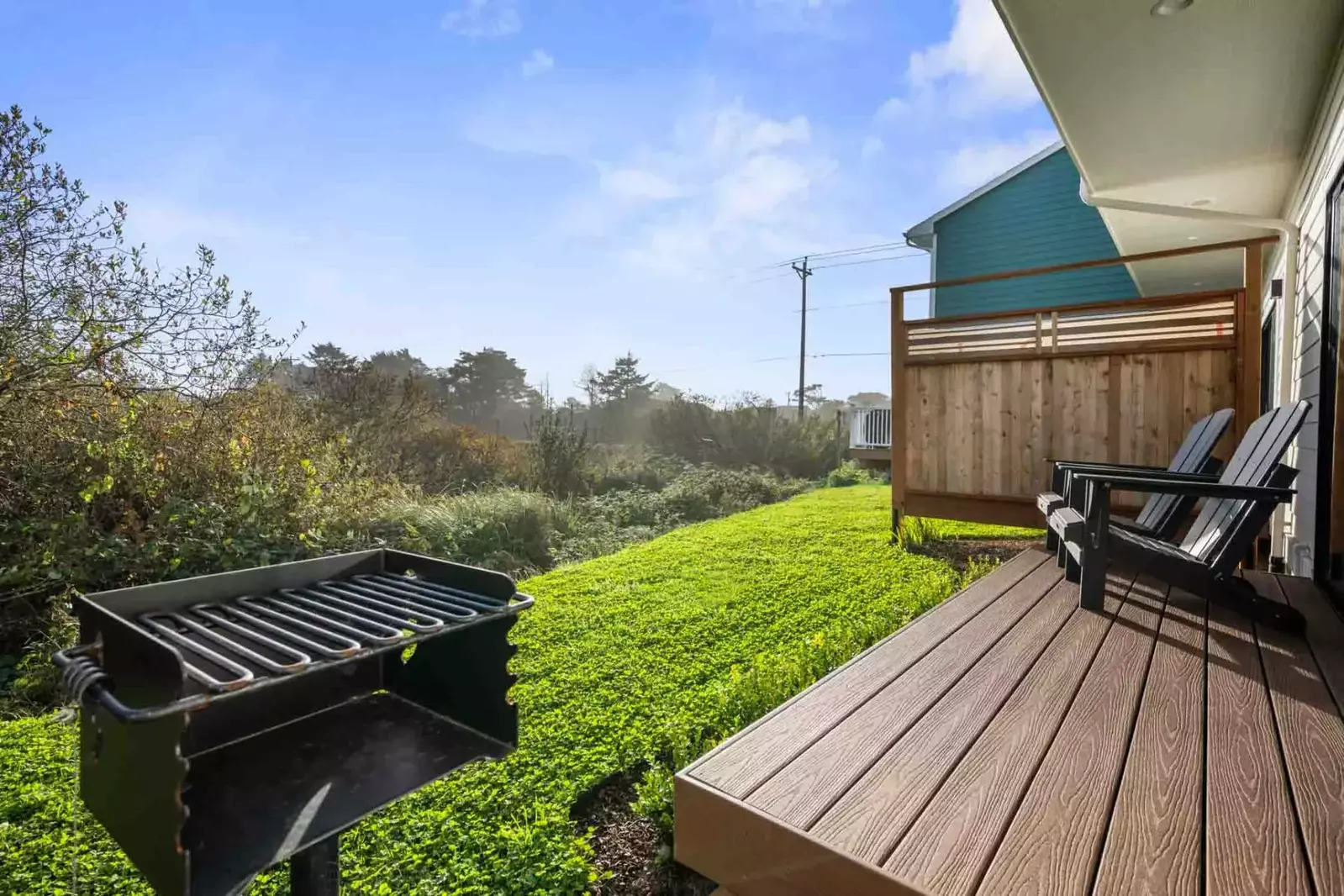 Grill up some seafood on the bbq. Collect fish and shellfish from a local market or have a fun outing catching dinner!