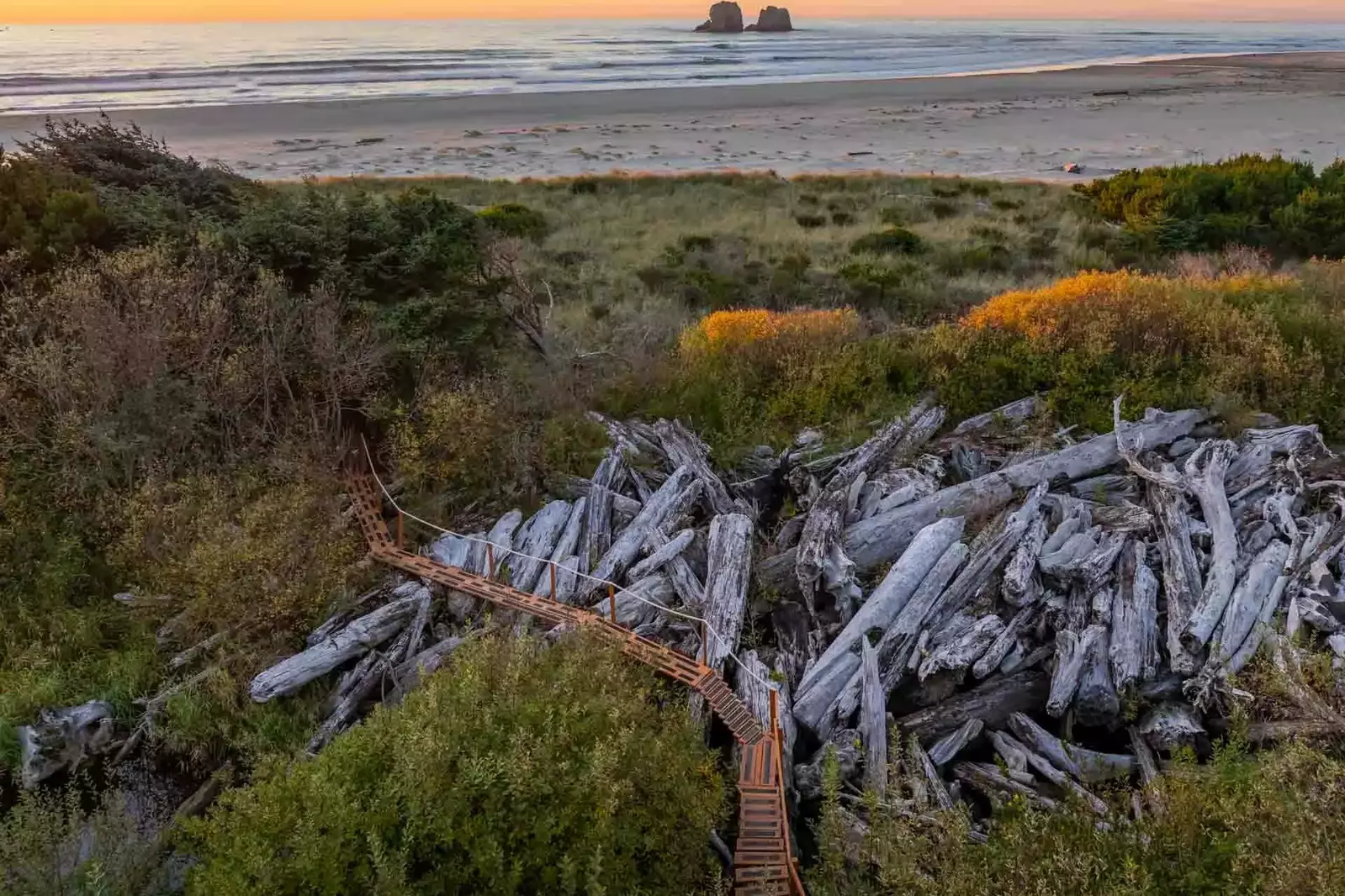 Enjoy the walk to the beach through this gorgeous natural area.