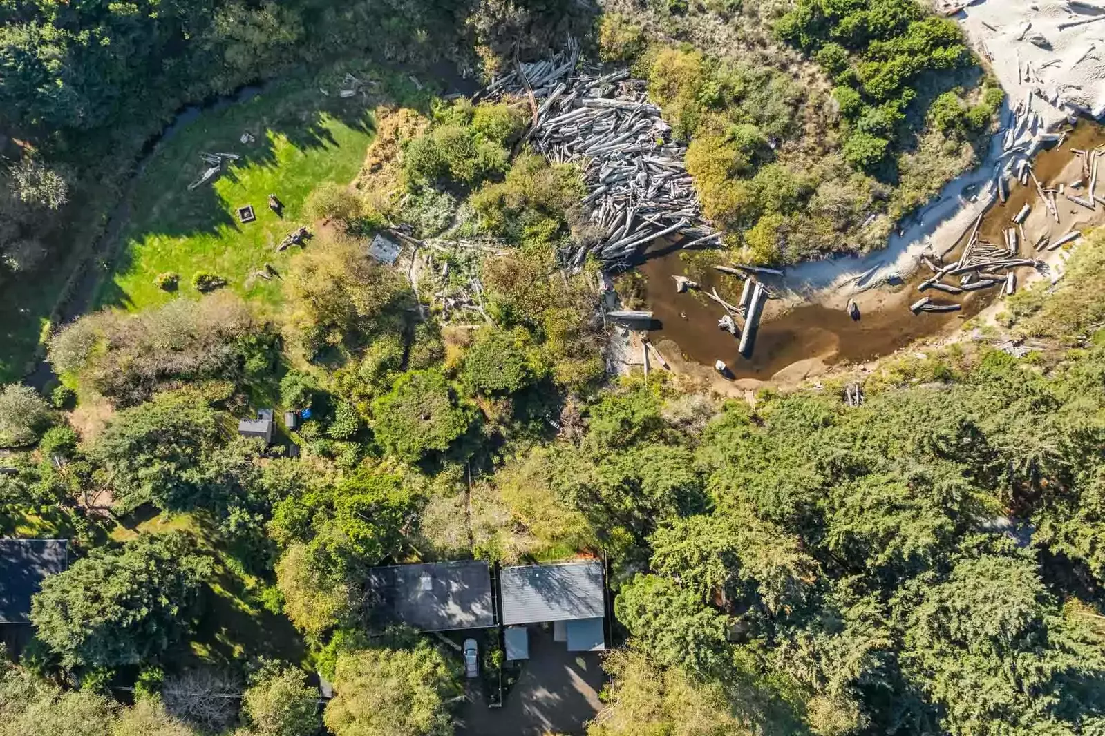 The Oregon Coast is a great place to see wild animals. Keep your eyes peeled for eagles, elk, hermit crabs, seals, whales, and maybe even an octopus!