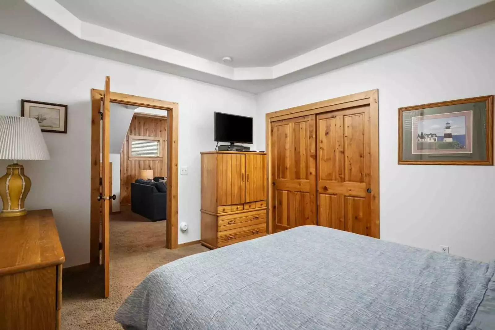 This bedroom has a tv, a very comfy bed, and ample closet space.