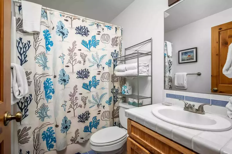 This bathroom has a shower with excellent water pressure.