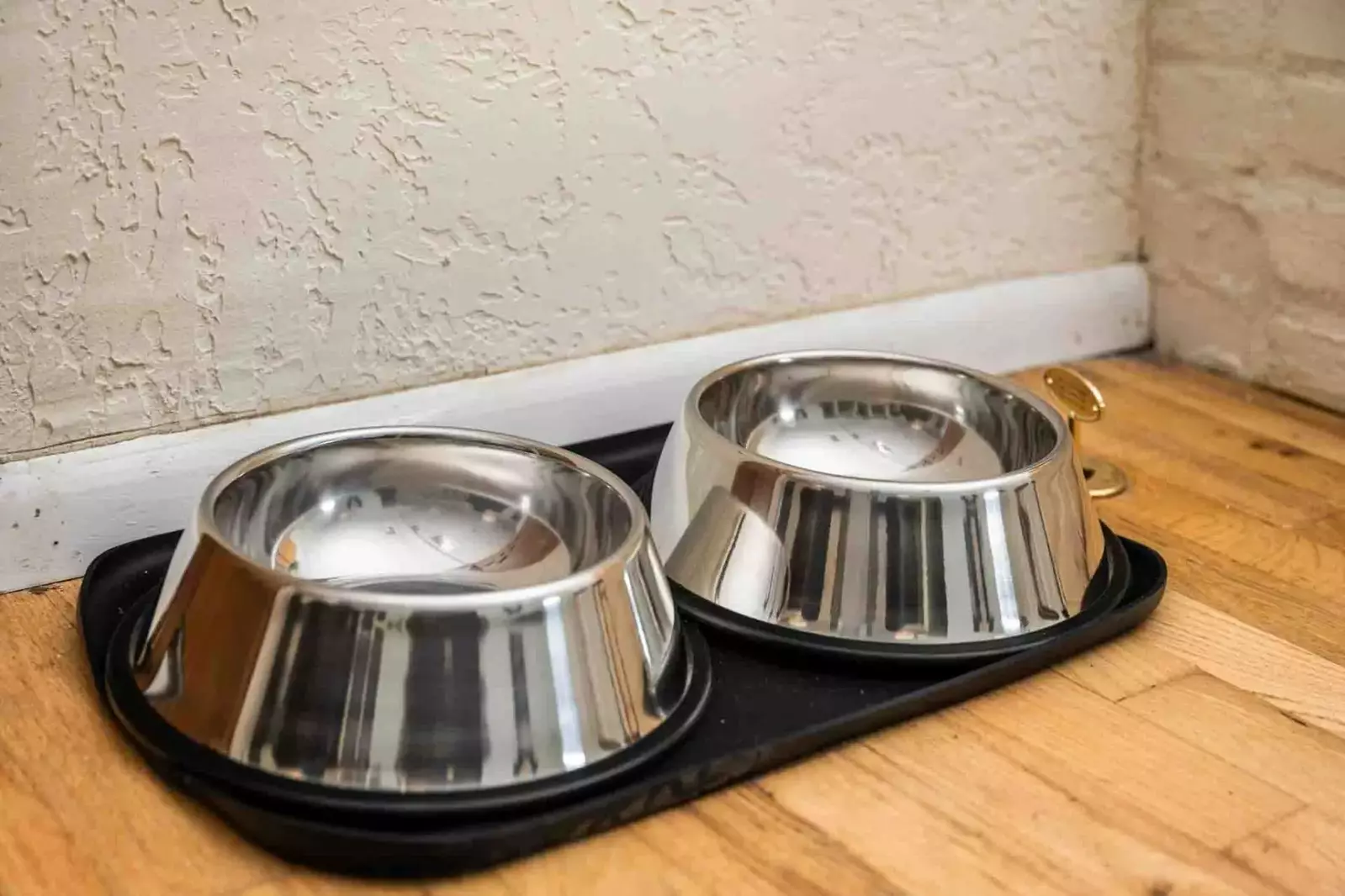 This rental is pet friendly.