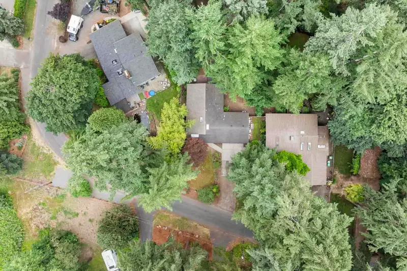 Cozy River Forest Retreat is nestled among powerful trees.