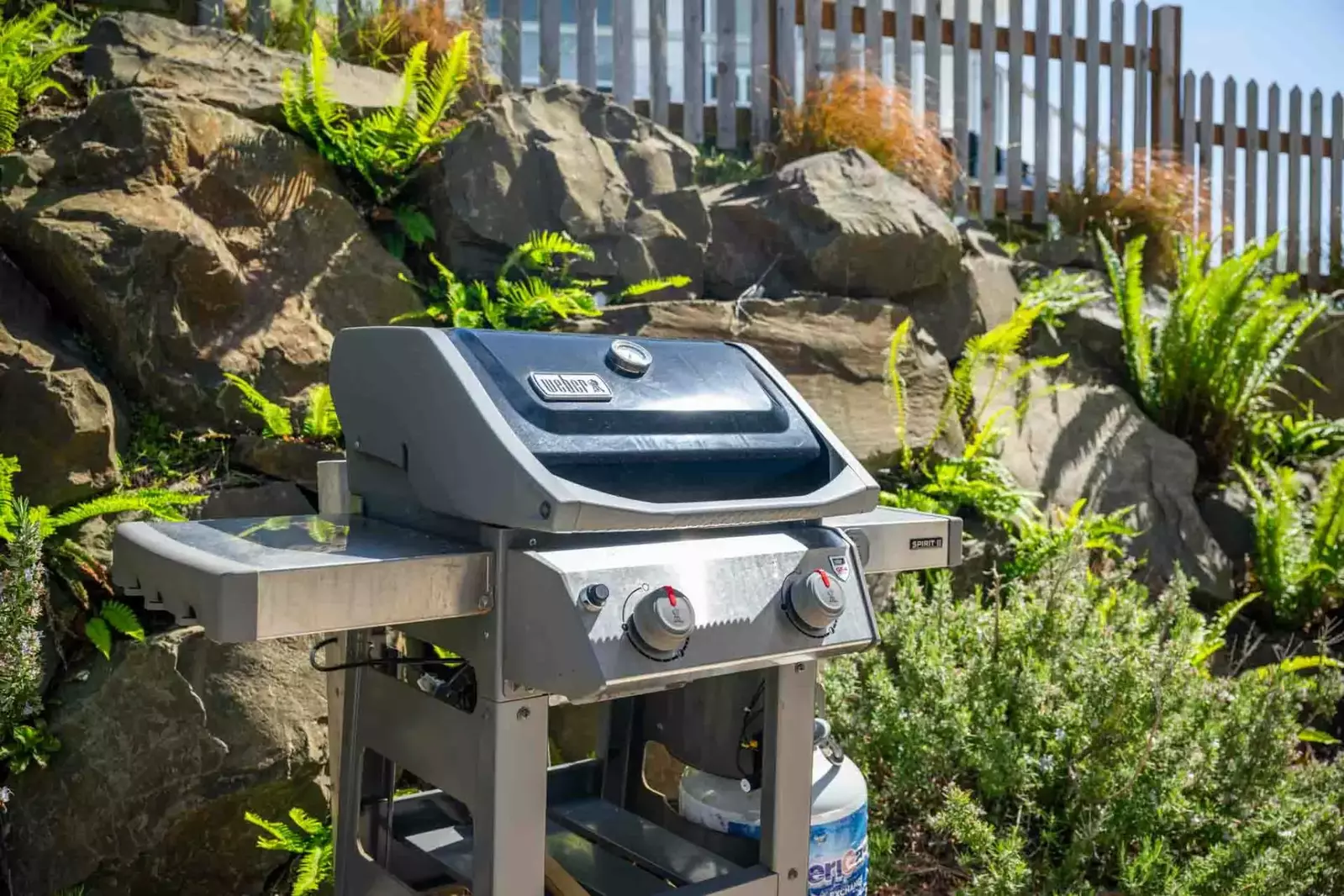 Grill up some seafood on the bbq. Collect fish and shellfish from a local market or have a fun outing catching dinner!