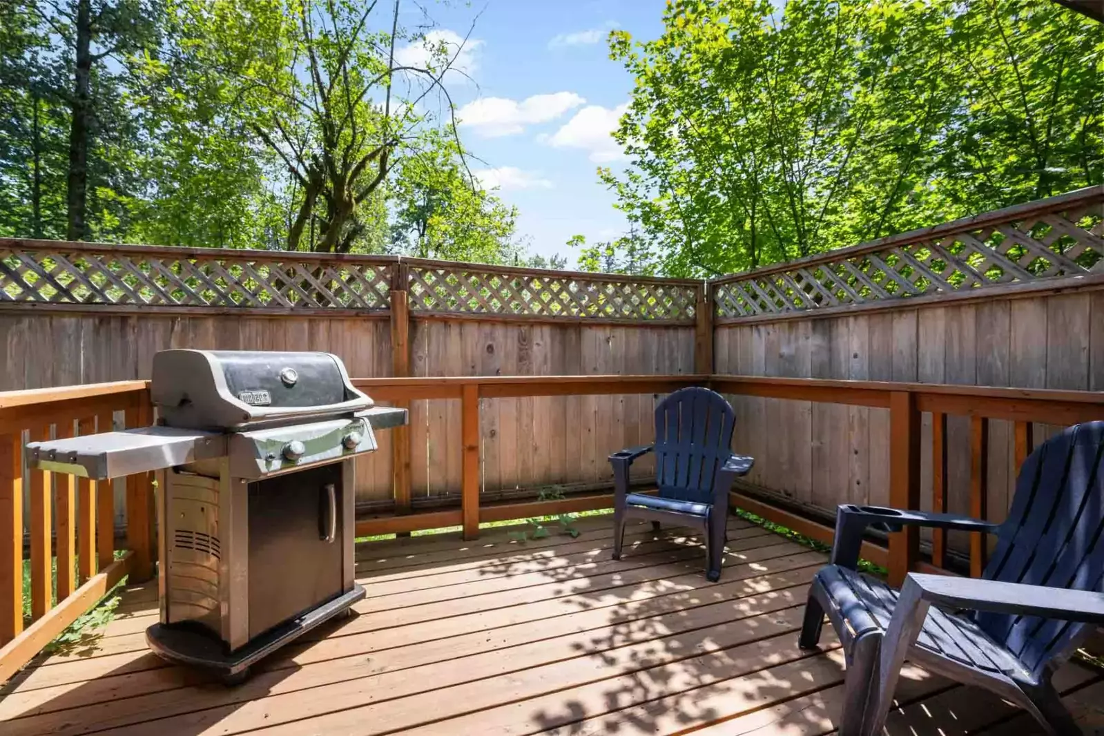 Grill up a wonderful feast on the BBQ.