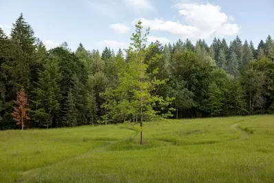 The property is an excellent place for a nice stroll.