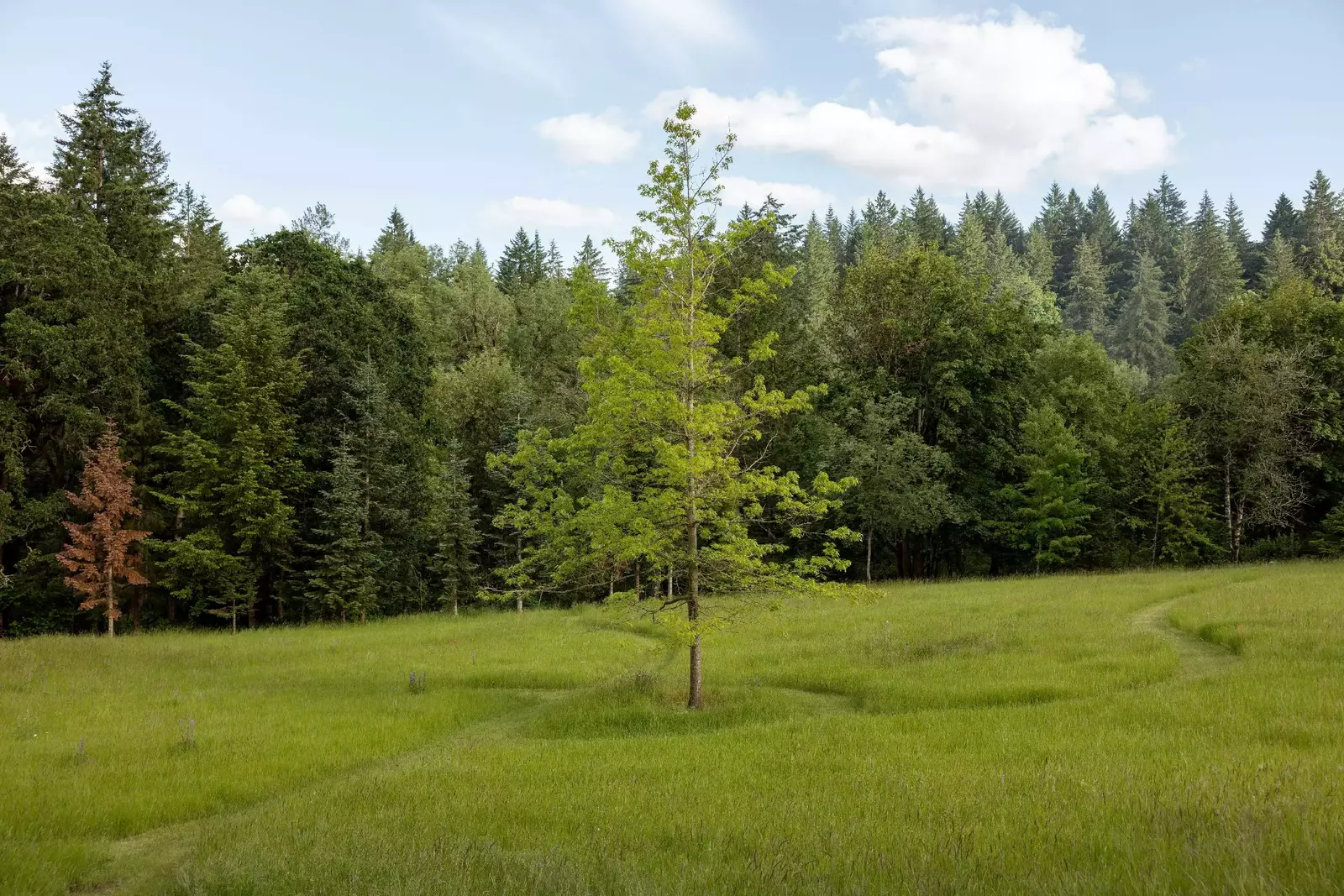The property is an excellent place for a nice stroll.