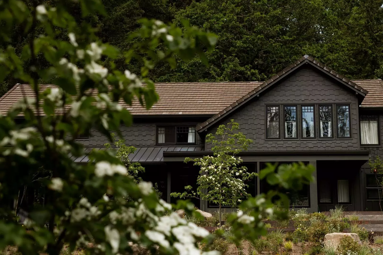 The Carly Fern Lodge is surrounded by lush nature. Wake up early and look for animals!