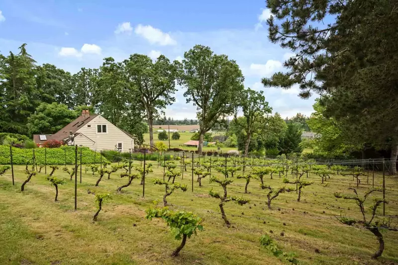 We hope we get to host you at this delightful property. Please reach out to us with any questions. We are happy to answer!