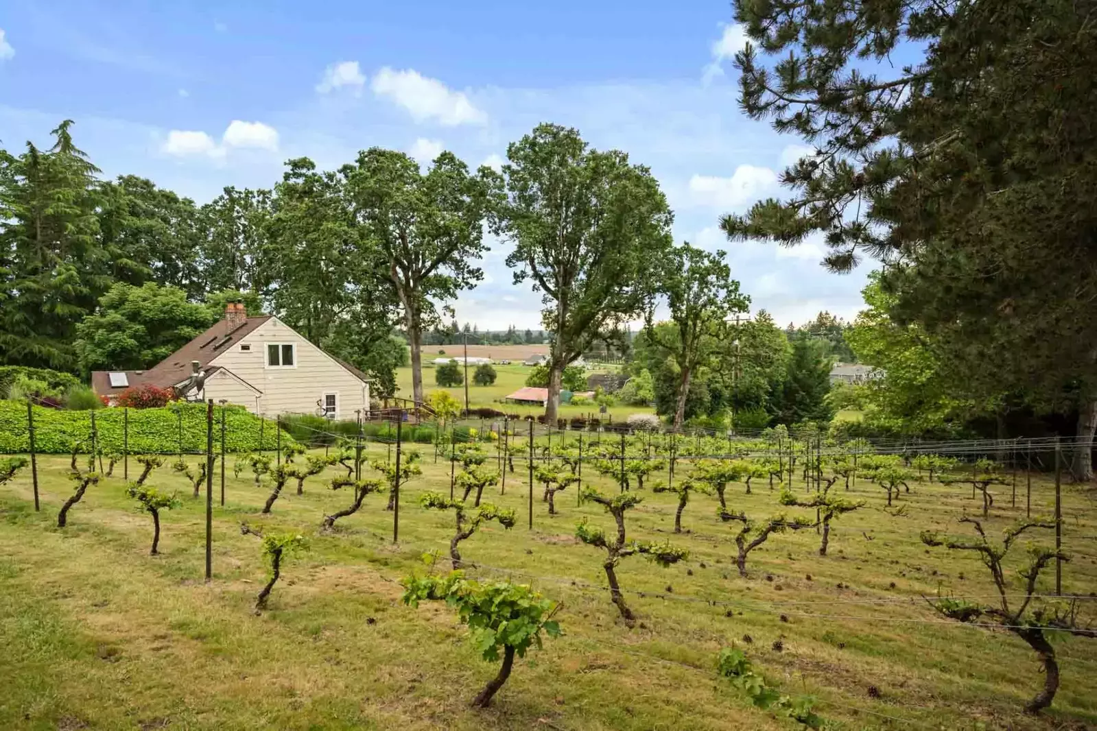 We hope we get to host you at this delightful property. Please reach out to us with any questions. We are happy to answer!