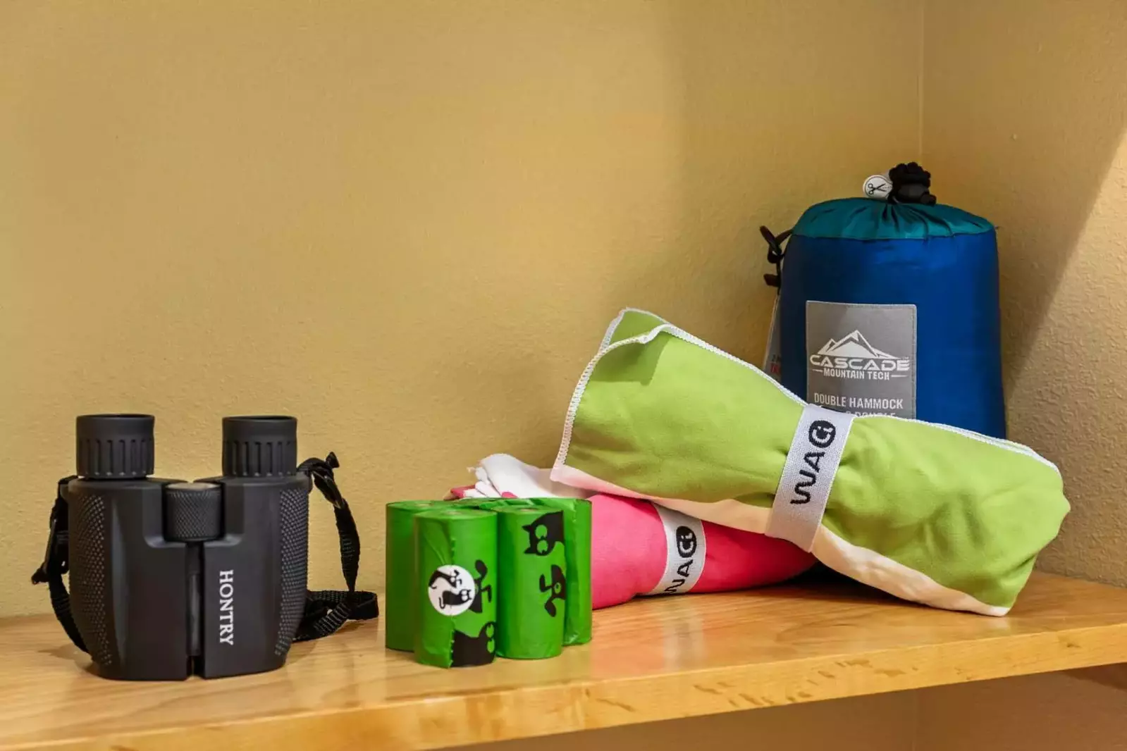 Supplies for taking the dog on a birdwatching hike.