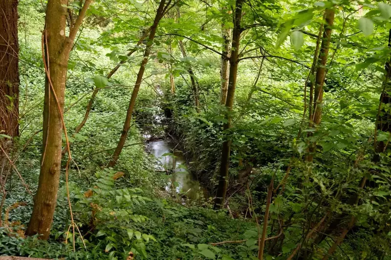 Oregon is full of natural wonders. Use this rental as a base camp to explore waterfalls, mountains, beaches, hot springs, and more!