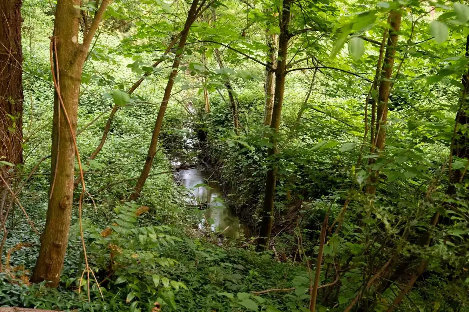 Oregon is full of natural wonders. Use this rental as a base camp to explore waterfalls, mountains, beaches, hot springs, and more!