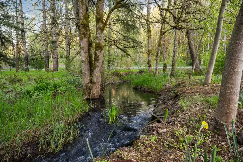 Salem is located a short distance from Portland, the Coast, Silver Falls, Eugene, and more! Use Swallows Nest as a base camp for an Oregon adventure!
