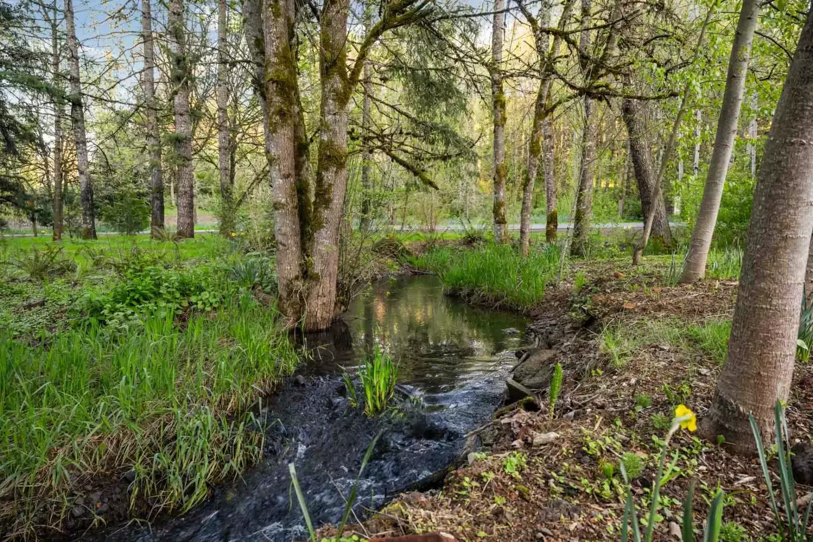 Salem is located a short distance from Portland, the Coast, Silver Falls, Eugene, and more! Use Swallows Nest as a base camp for an Oregon adventure!