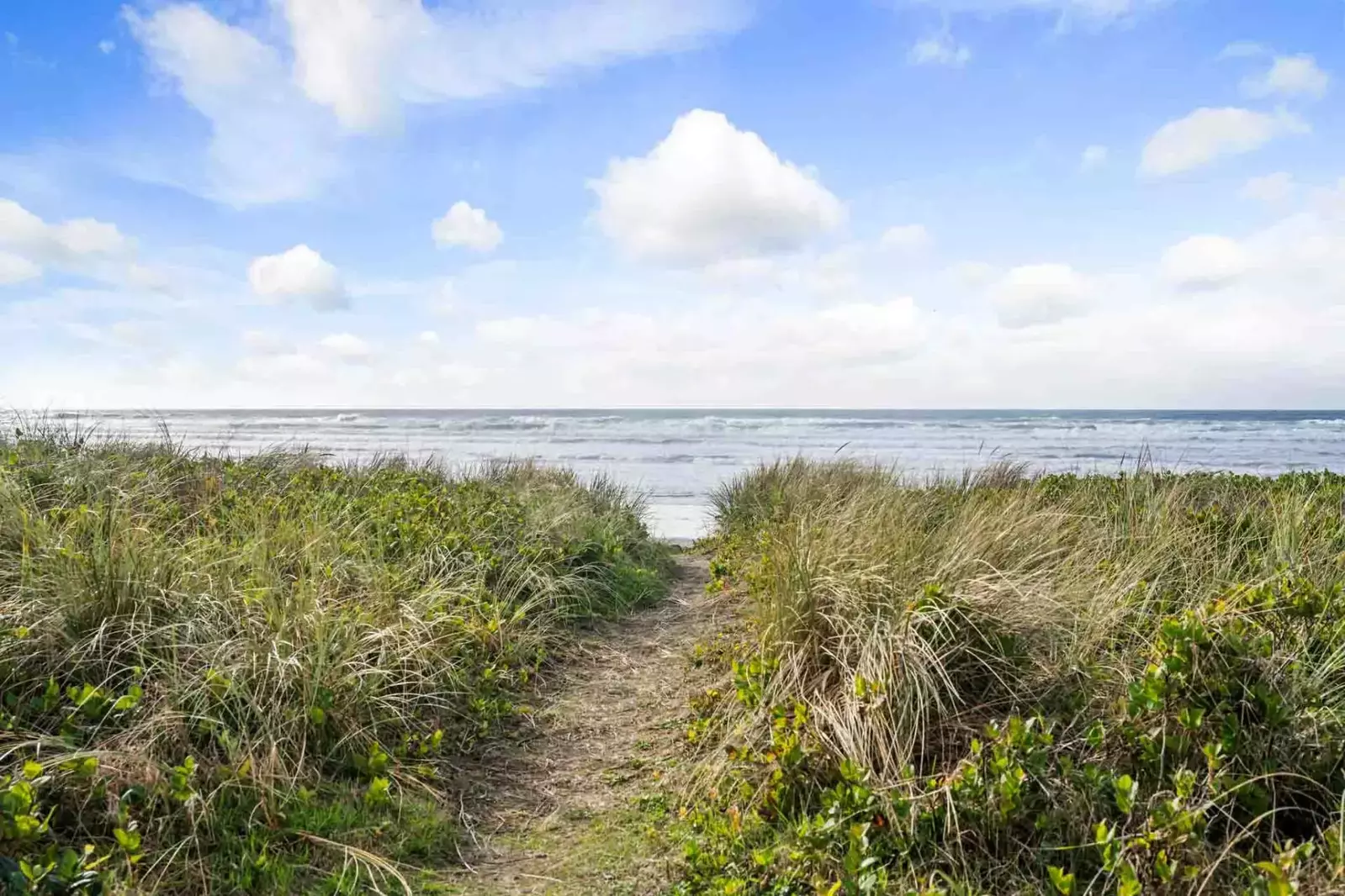 Rockaway Beach is a lovely town on the Oregon Coast. It has plenty of restaurants, long beaches, and natural wonders. Reach out for suggestions.