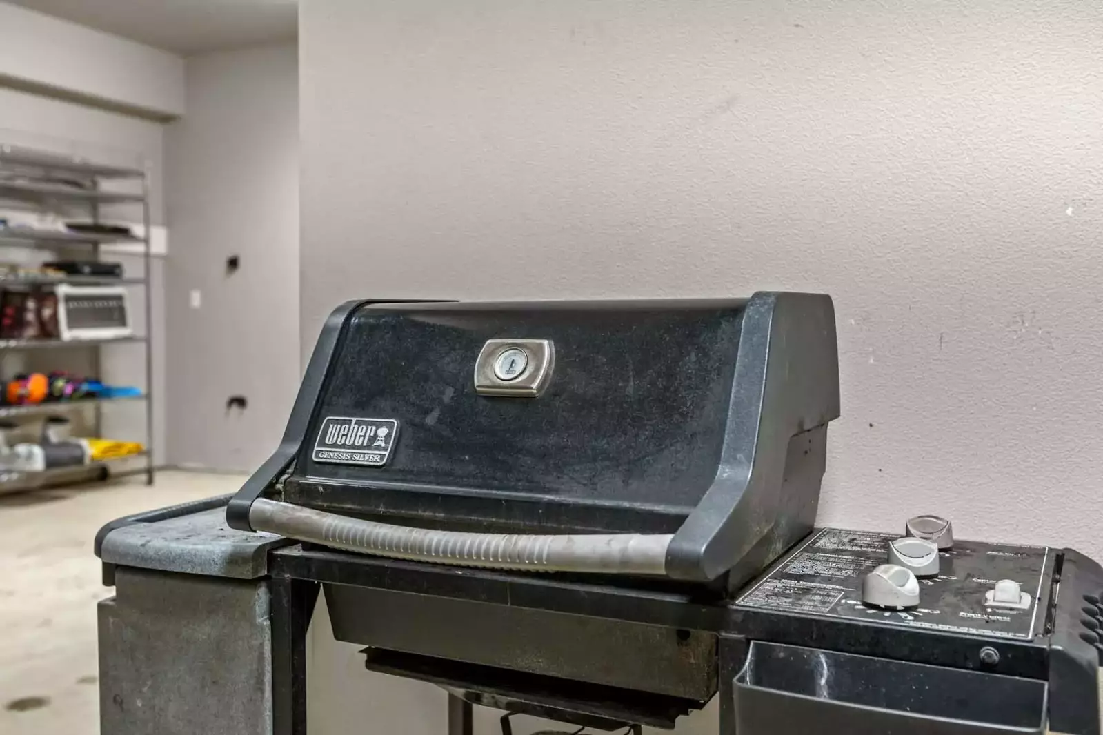 Grill up some seafood on the bbq. Collect fish and shellfish from a local market or have a fun outing catching dinner!