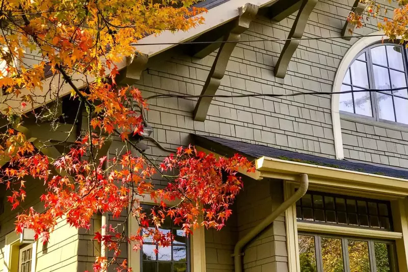 Fall in wine country is an amazing time to visit as the tree paint a lovely picture with their leaves.