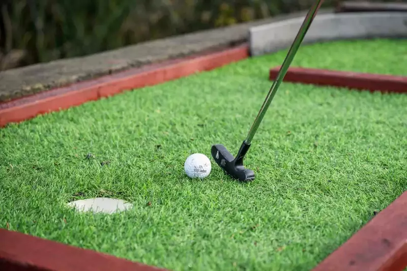 Yes, this rental has a putting green!