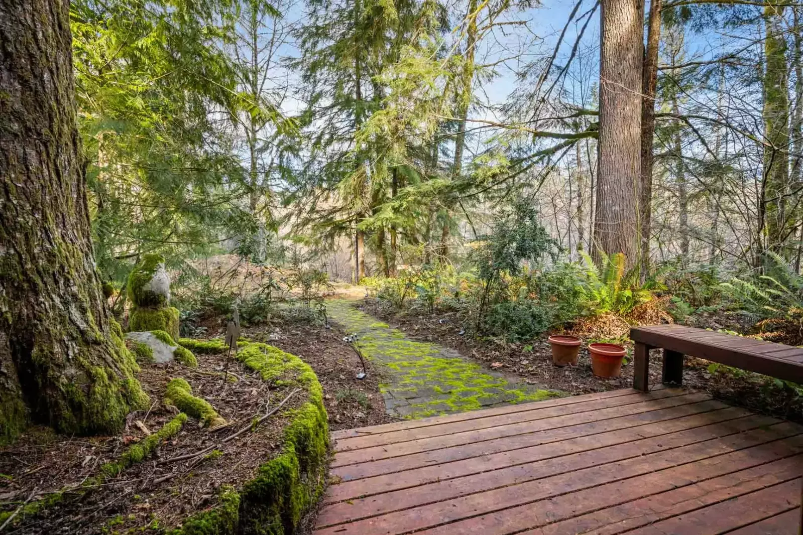Nature is right outside this rental. Enjoy lots of nearby hikes!