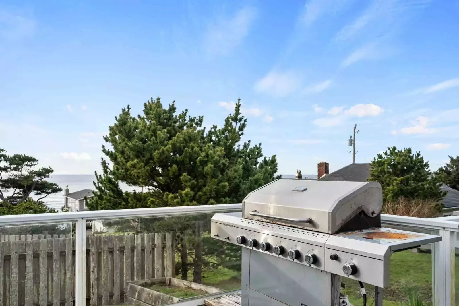 Grill up some seafood on the bbq. Collect fish and shellfish from a local market or have a fun outing catching dinner!