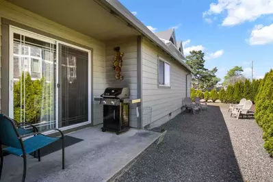 Grill up some seafood on the bbq. Collect fish and shellfish from a local market or have a fun outing catching dinner!