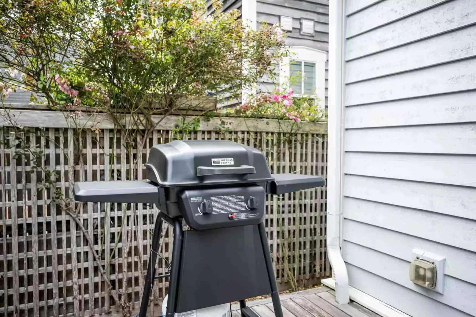 Grill up some seafood on the bbq. Collect fish and shellfish from a local market or have a fun outing catching dinner!