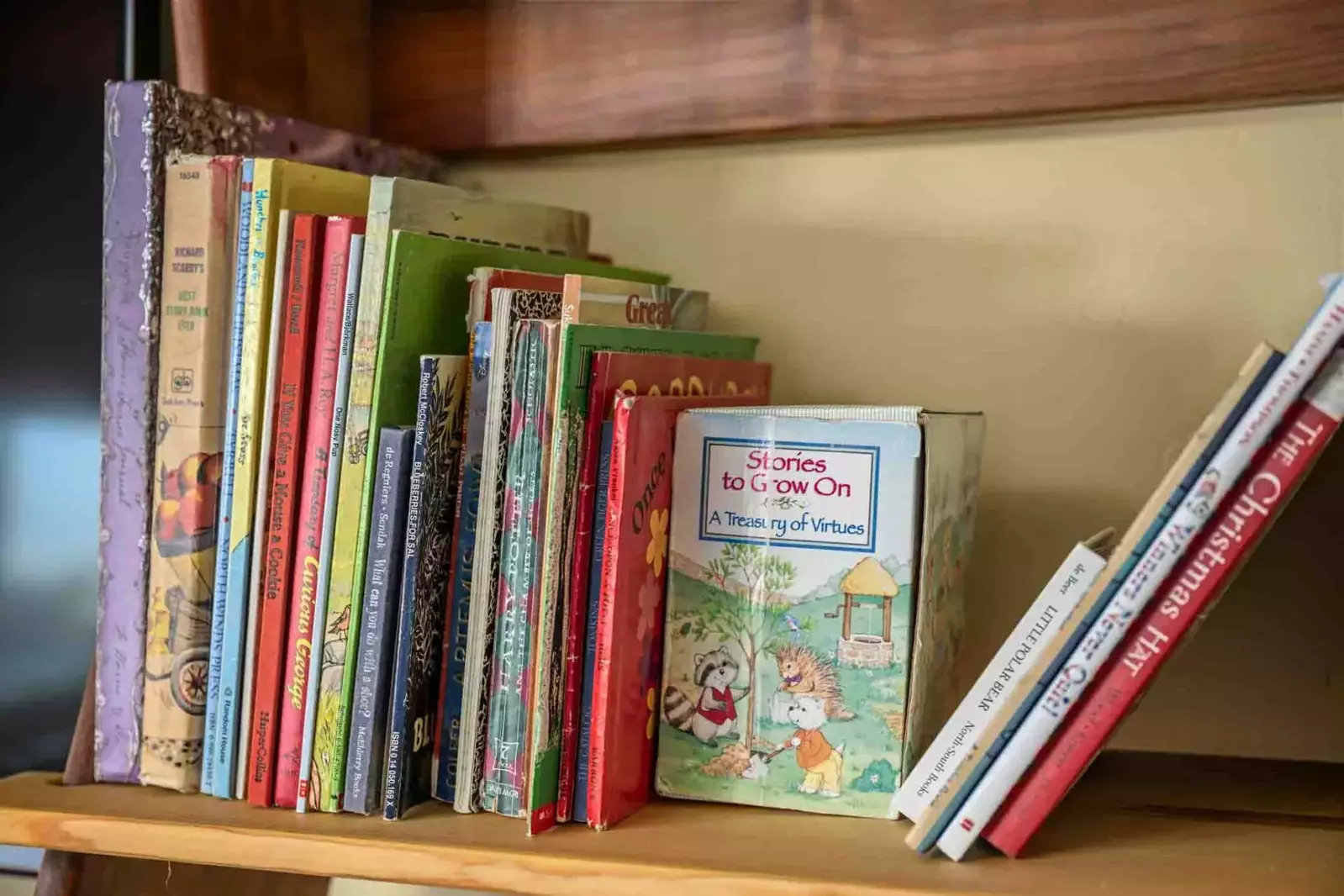 CherryView Lane has a great collection of children's books.