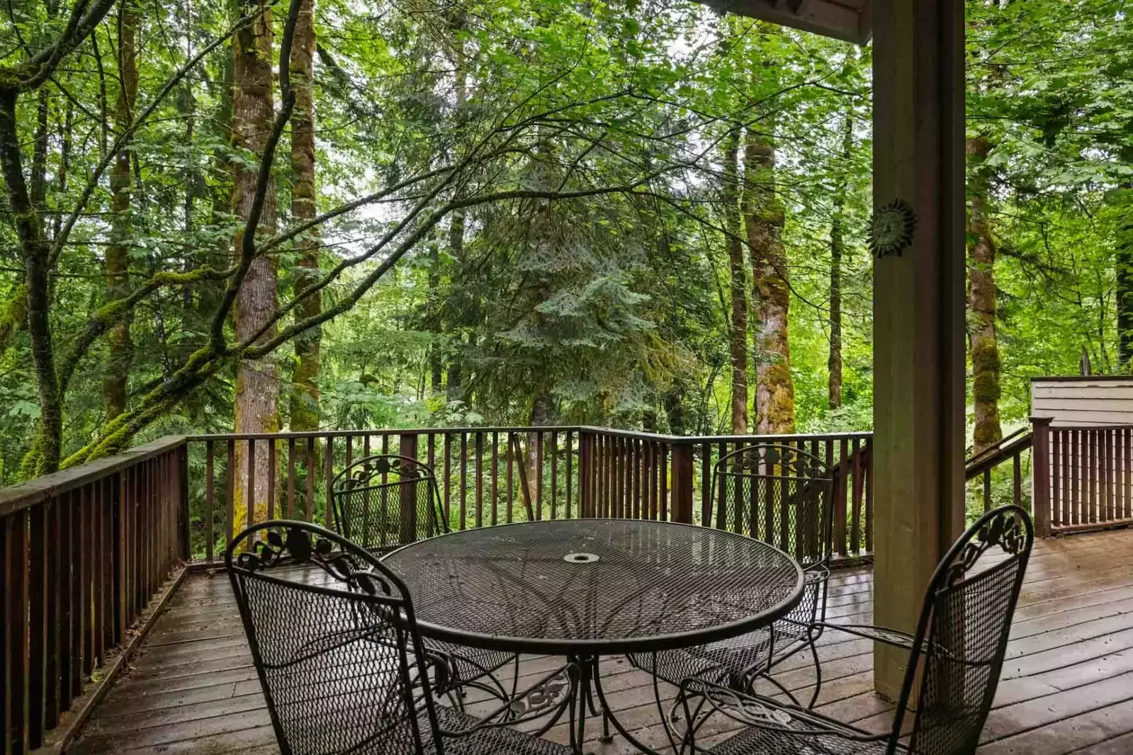 The forest on Mount Hood is beyond enchanting. It has rivers, waterfalls, vistas, wildlife, historical landmarks, and more.