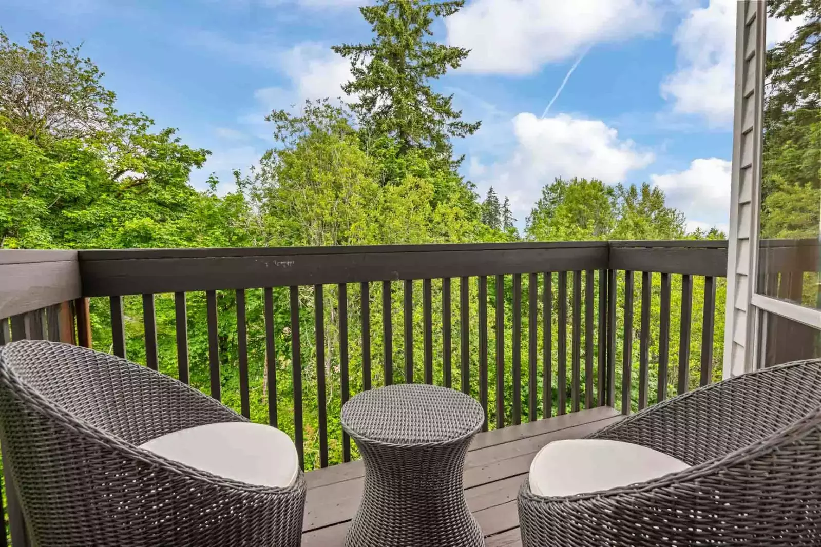The foliage makes the deck feel like a forested tree house!