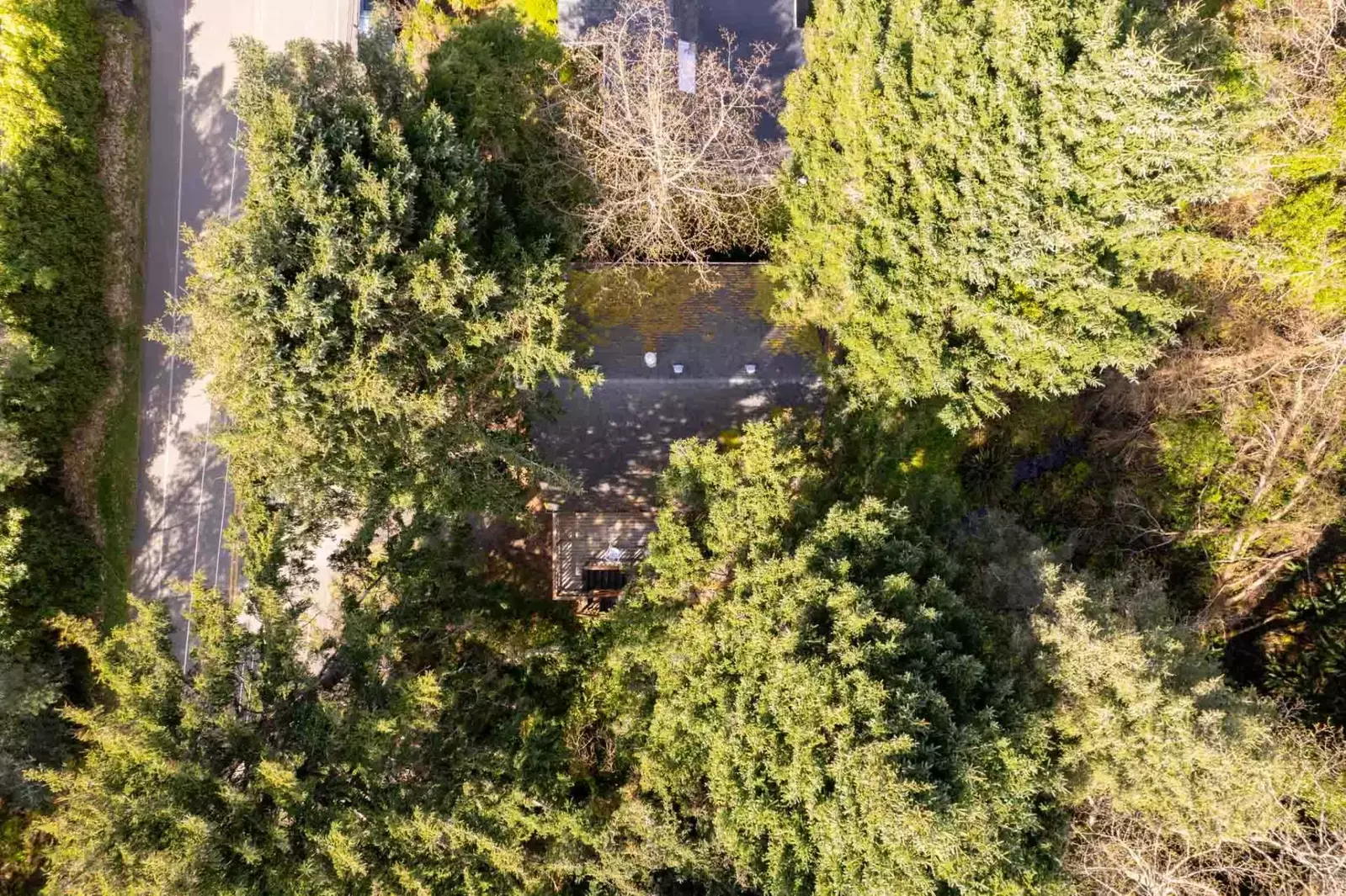 Hemlock House is ready to host you! We can't wait for you to enjoy Cannon Beach!