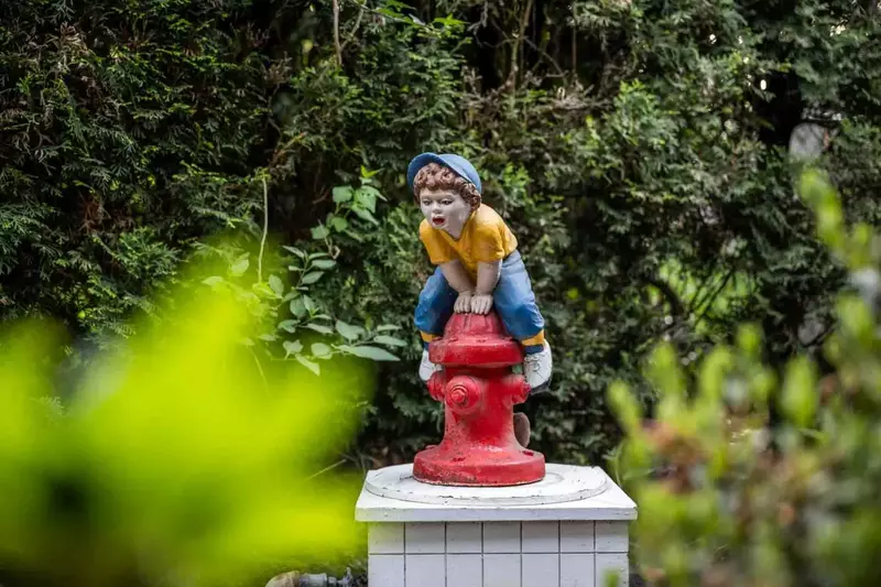 Jim and Shirley's Cukoo's Nest