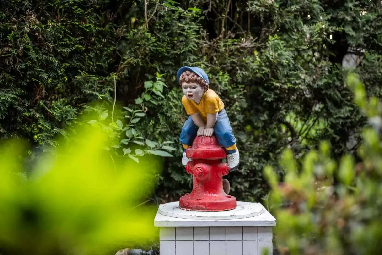 Jim and Shirley's Cukoo's Nest