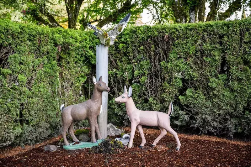 Hillsboro is very close to a lot of natural areas. Spend a day hiking and watching wildlife at some nearby parks.