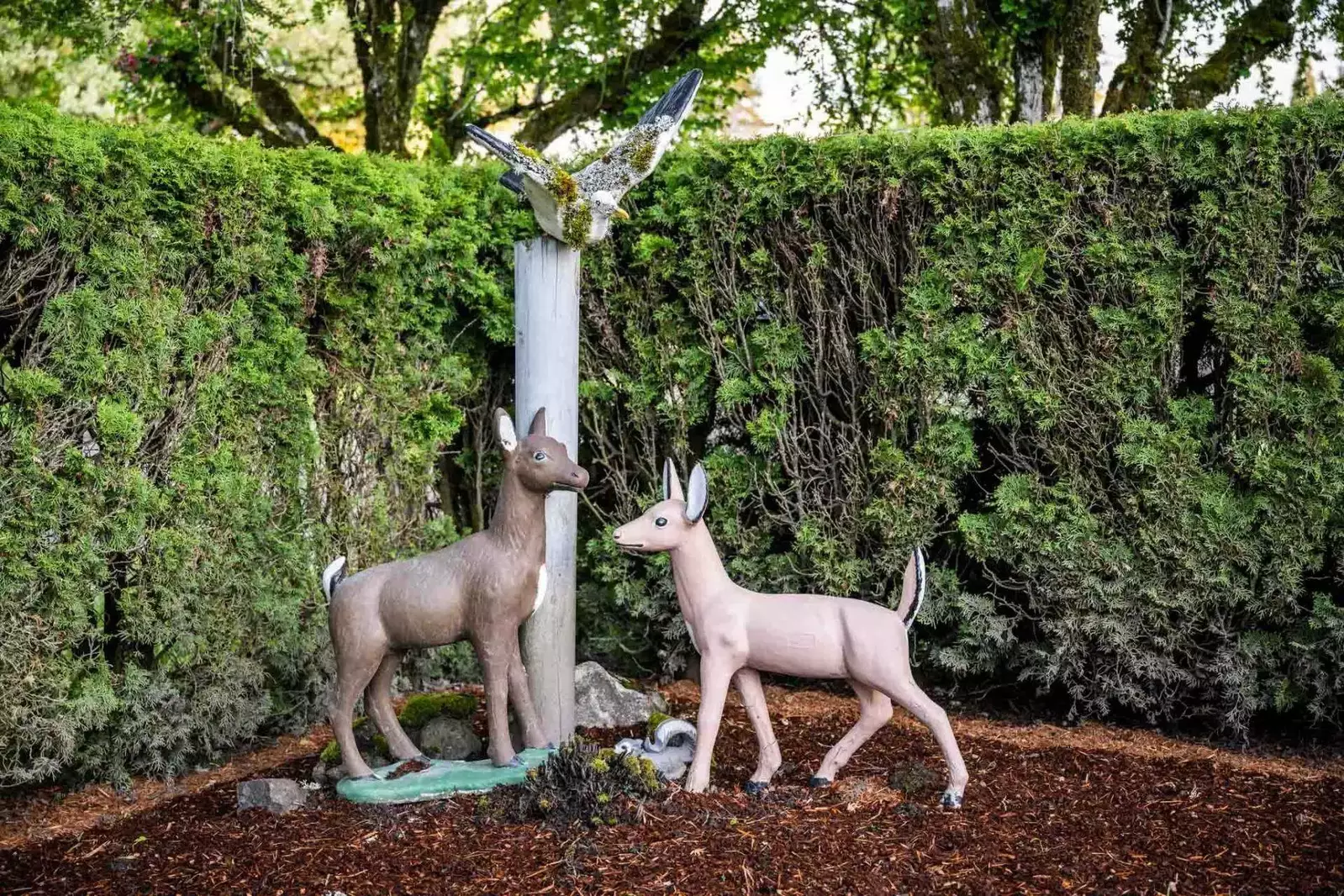 Hillsboro is very close to a lot of natural areas. Spend a day hiking and watching wildlife at some nearby parks.