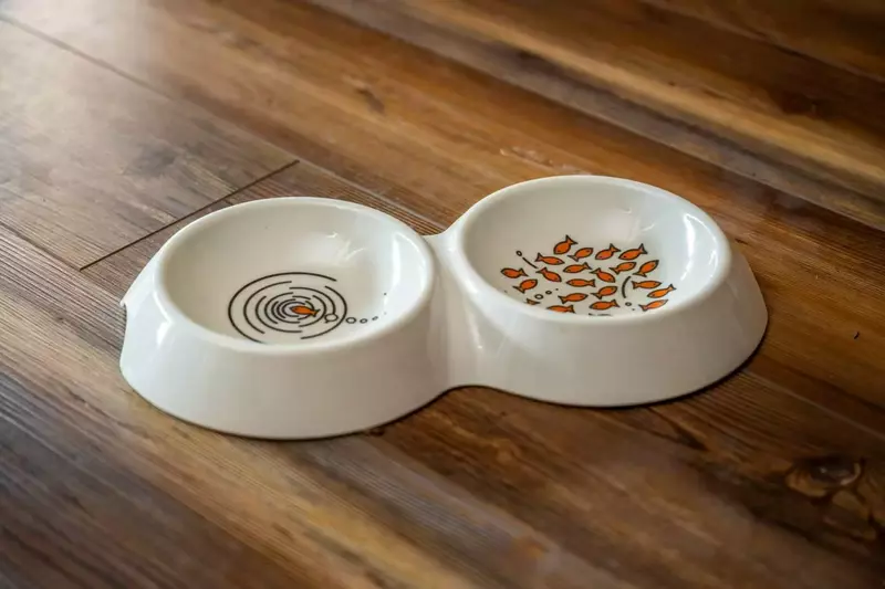 Bring your whole family including your furry friends!