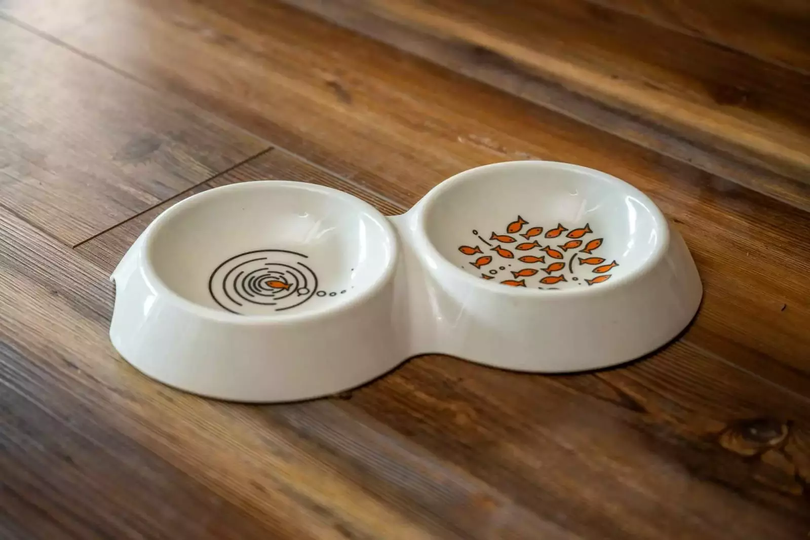 Bring your whole family including your furry friends!