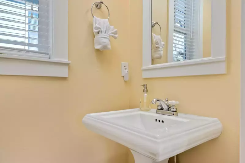 Ann and Kathy's Regal Seagull