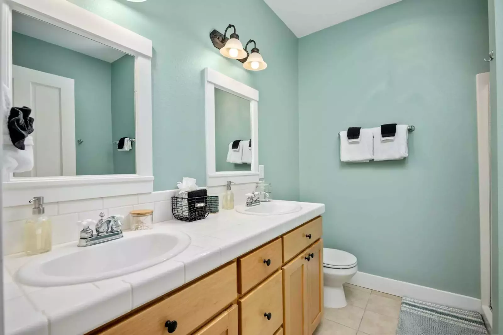 Ann and Kathy's Regal Seagull