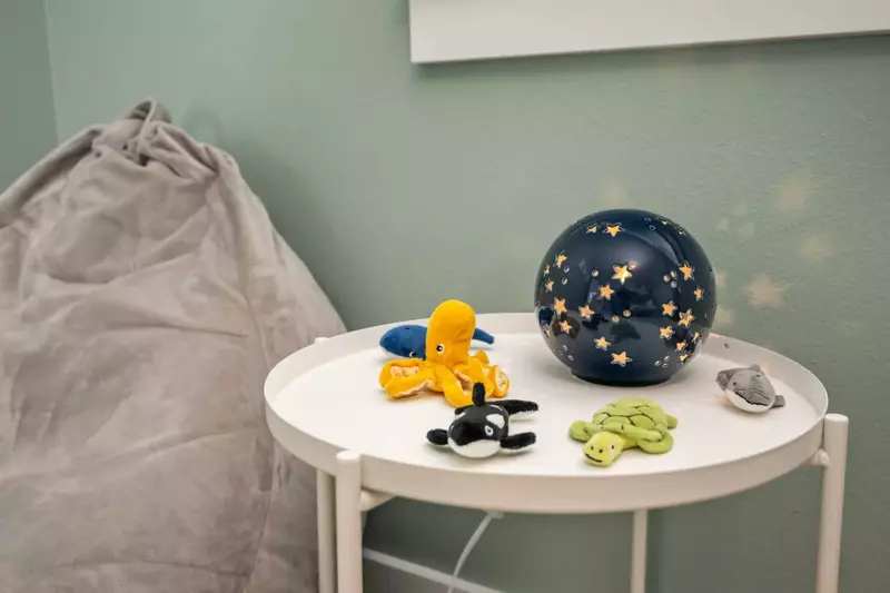 Ann and Kathy's Regal Seagull