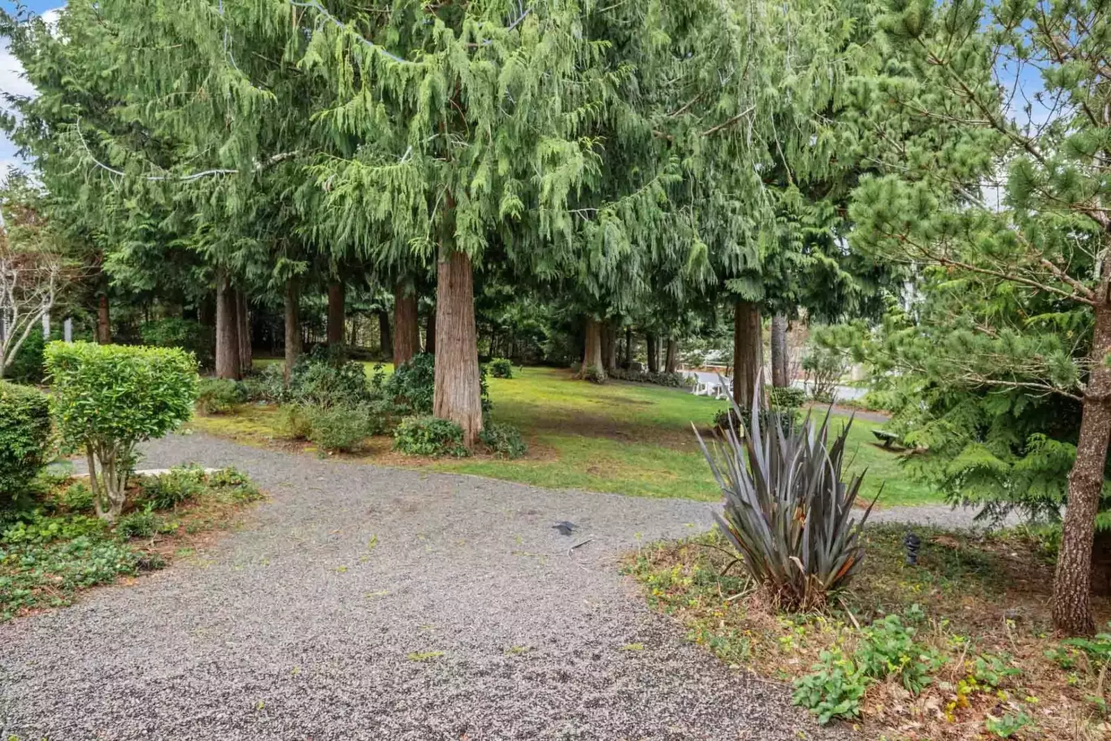 The Oregon Coast is full of natural wonders. We are happy to recommend our favorite hikes, parks, tidepools, and more.