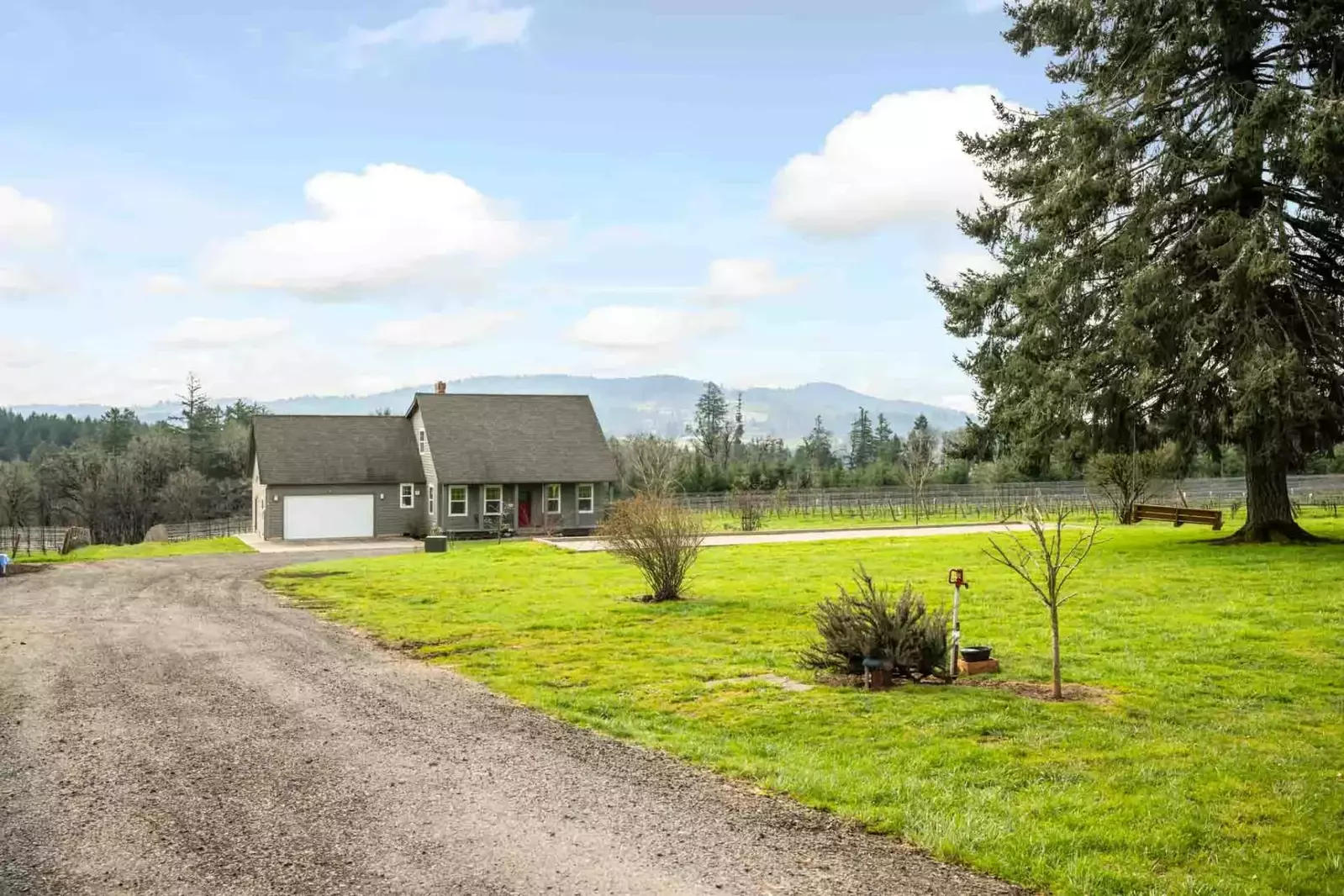 "We had a wonderful stay at the Little Farm. The house was beautifully decorated and supplied with exactly what we needed." - Peggy