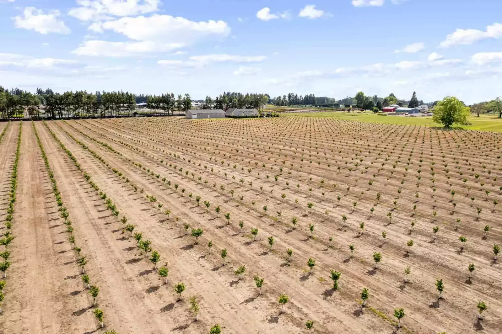 We hope we get to host you at this delightful property. Please reach out to us with any questions. We are happy to answer!