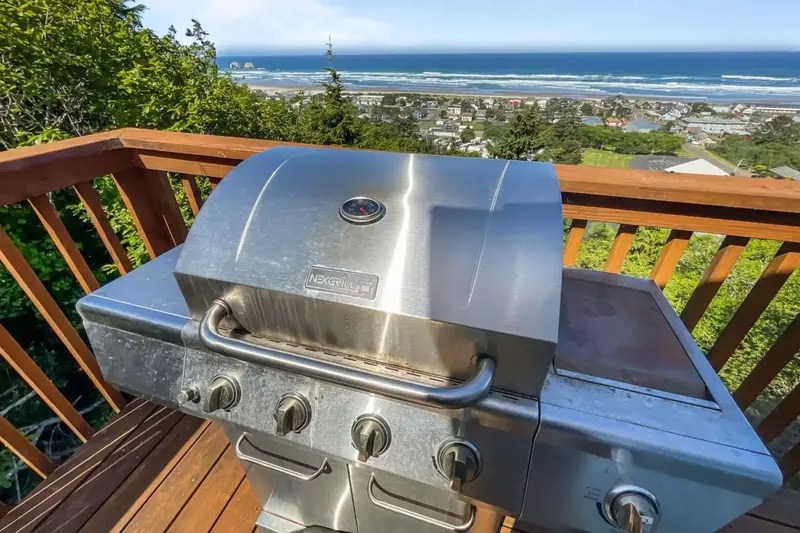 Grill up some seafood on the bbq. Collect fish and shellfish from a local market or have a fun outing catching dinner!